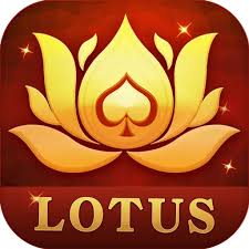teen patti rummy nabob download